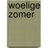 Woelige zomer