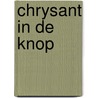 Chrysant in de knop door Annabel Murray