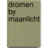 Dromen by maanlicht
