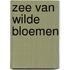 Zee van wilde bloemen