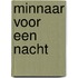 Minnaar voor een nacht