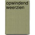 Opwindend weerzien