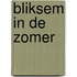 Bliksem in de zomer