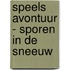Speels avontuur - sporen in de sneeuw
