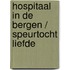 Hospitaal in de bergen / speurtocht liefde
