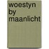 Woestyn by maanlicht