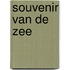 Souvenir van de zee
