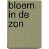 Bloem in de zon