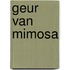 Geur van mimosa