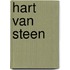Hart van steen