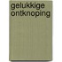Gelukkige ontknoping
