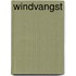 Windvangst