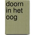 Doorn in het oog