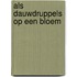 Als dauwdruppels op een bloem