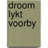 Droom lykt voorby