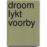 Droom lykt voorby by Petty
