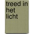 Treed in het licht