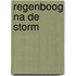 Regenboog na de storm