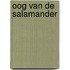 Oog van de salamander