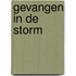Gevangen in de storm