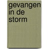 Gevangen in de storm door B. Jackson