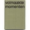 Volmaakte momenten by K.R. Smith