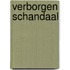 Verborgen schandaal