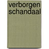 Verborgen schandaal door C. Mann