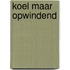 Koel maar opwindend