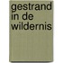 Gestrand in de wildernis