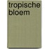 Tropische bloem