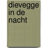Dievegge in de nacht door J. Allan