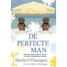 De perfecte man