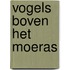 Vogels boven het moeras