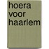 Hoera voor Haarlem