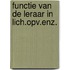 Functie van de leraar in lich.opv.enz.