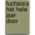 Fuchsia's het hele jaar door