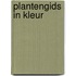 Plantengids in kleur