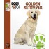 De Golden Retriever