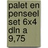 Palet en penseel set 6x4 dln a 9,75