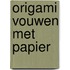 Origami vouwen met papier