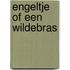 Engeltje of een wildebras