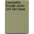 Zwartwitte hondje zoekt zelf een baas
