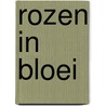 Rozen in bloei door Loon