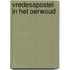 Vredesapostel in het oerwoud