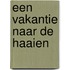 Een vakantie naar de haaien