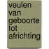 Veulen van geboorte tot africhting