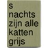 S nachts zijn alle katten grijs