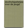 Doolhofspelletjes voor de jeugd door J.W. van Besouw