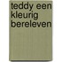 Teddy een kleurig bereleven